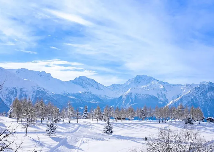 Appartement Valaisia 145 *