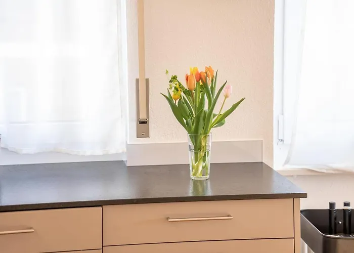 Valaisia 145 Appartement Riederalp