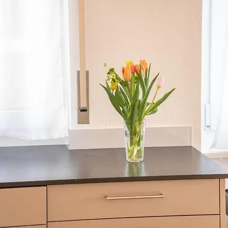 Valaisia 145 Daire Riederalp